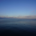 2178-1.jpg