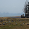 2178-2.jpg