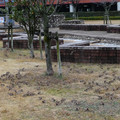 2178-3.jpg