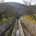 2179-2.jpg