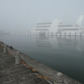 2181-2.jpg
