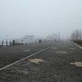 2183-1.jpg