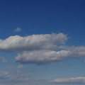 2184-1.jpg