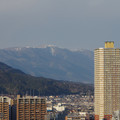 2184-2.jpg