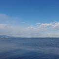 2184-3.jpg