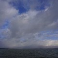 2185-1.jpg