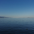 2186-3.jpg