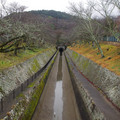2190-1.jpg