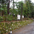 2190-2.jpg