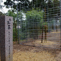 2190-3.jpg