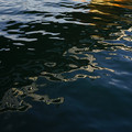 2191-1.jpg