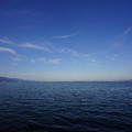 2191-2.jpg