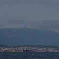 2192-2.jpg