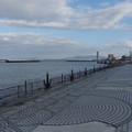 2193-3.jpg