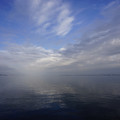 2194-1.jpg