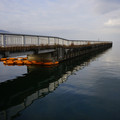 2194-3.jpg