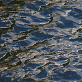 2195-2.jpg
