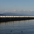 2196-2.jpg
