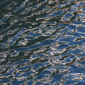 2196-3.jpg