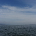 2230-1.jpg