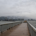 2231-1.jpg