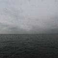 2231-3.jpg
