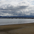 2232-2.jpg