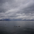 2239-1.jpg