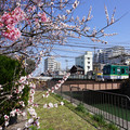 2241-1.jpg