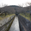 2241-3.jpg
