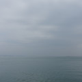 2242-1.jpg