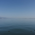 2244-1.jpg