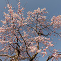 2244-2.jpg