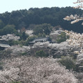 2252-1.jpg