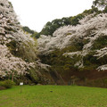 2254-3.jpg
