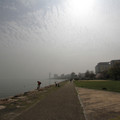 2256-1.jpg