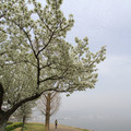 2256-2.jpg