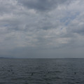 2288-1.jpg