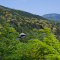 2291-1.jpg