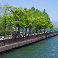 2291-3.jpg