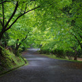 2292-1.jpg