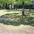 2293-2.jpg