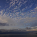 2294-1.jpg