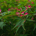 2295-3.jpg