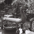 2297-3.jpg