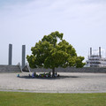 2301-3.jpg