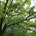 2305-3.jpg