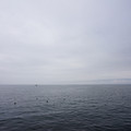 2306-3.jpg