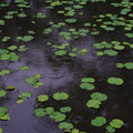 2307-2.jpg