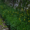 2307-3.jpg
